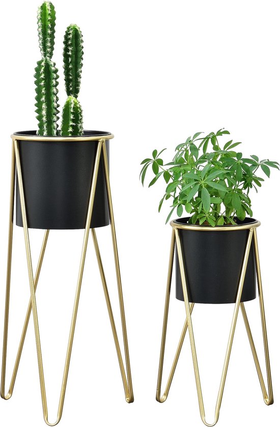 Plantenstandaard set van 2 Hedera kopen