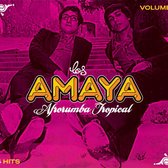 Los Amaya - Afrorumba Tropical (2 CD)