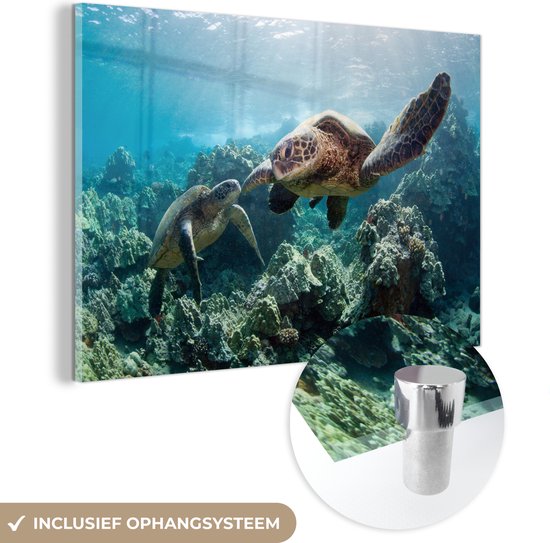 MuchoWow® Glasschilderij - Schildpad - Zee - Water - Koraalrif - Dieren - 180x120 cm - Acrylglas Schilderijen - Foto op Glas - Muurdecoratie