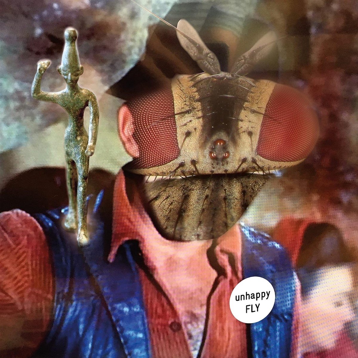 Unhappy Fly - Unhappy Fly (LP) (Limited Edition) (Coloured Vinyl)