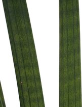 The Green Corner - Sansevieria Cylindrica in Anna sierpot (grijs) (2 stuks) - Hoogte 35cm - Diameter 12cm