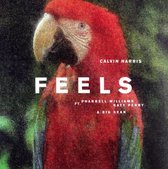 Feels (12 Inch Vinyl)