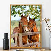 Diamond Painting Paard / Horse Diamond Painting set for adults and children (30 x 40 cm)