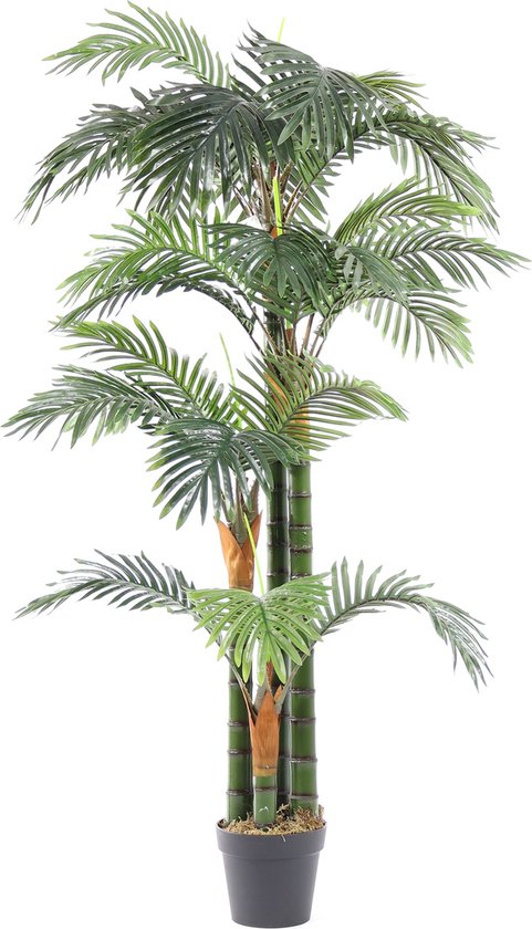 Kunst Palmboom Florida | 165cm - Namaak palmboom - Kunstplanten voor binnen - Kunstpalm