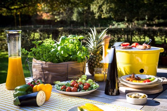 Zwarte ShooAway vliegenverjager tussen een salade, fruit en een barbecue in een zonnige tuin.