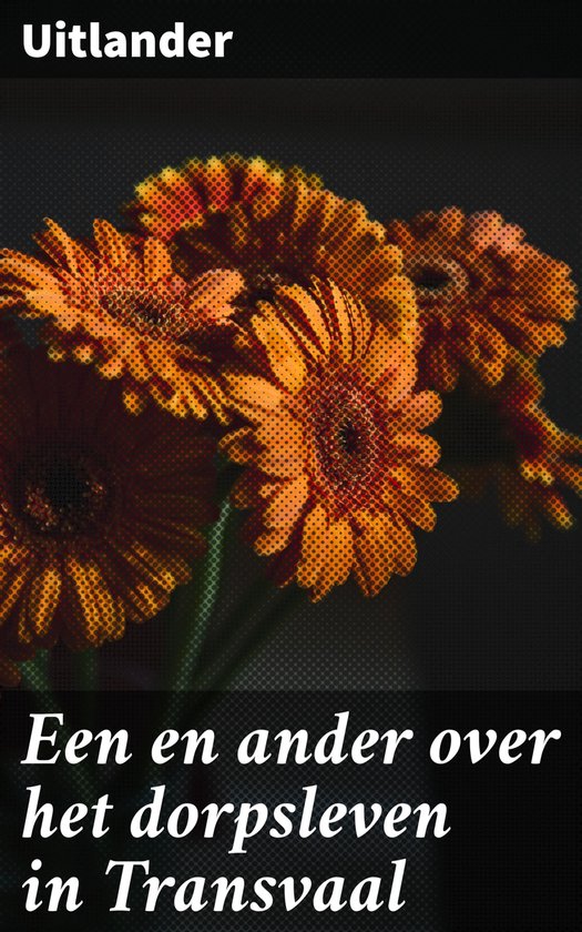 Een en ander over het dorpsleven in Transvaal - cover