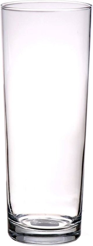 Rechte cilinder vaas/vazen glas 24 cm - kleine glazen vaasjes - Bloemenvazen van glas