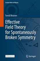 Lecture Notes in Physics- Effective Field Theory for Spontaneously Broken Symmetry