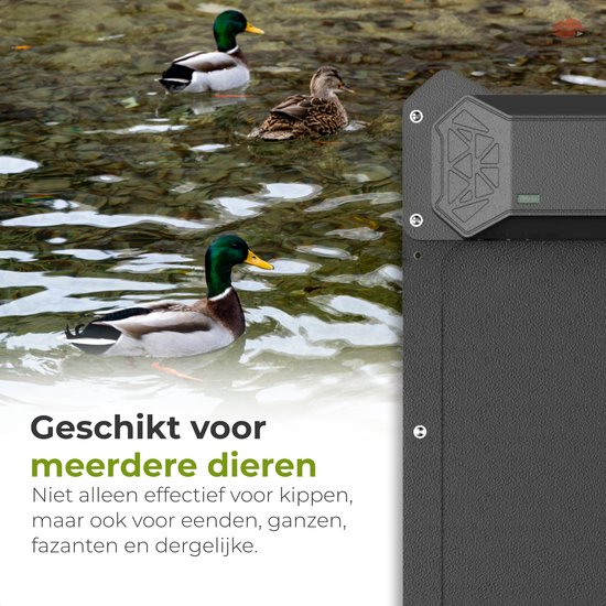 FOFNON Automatische Kippenklep Op Zonne-energie Met Timer & Lichtsensor - Groot Model