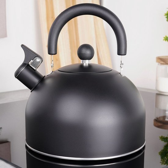 Bouilloire sifflante en acier inoxydable Zwart 3 l - Bouilloire avec sifflet