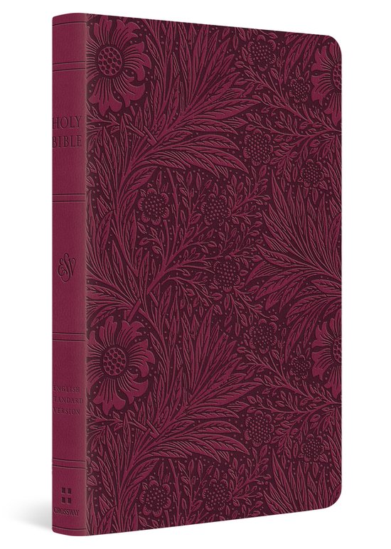 Esv large print value thinline bible 9781433582509 boeken bol