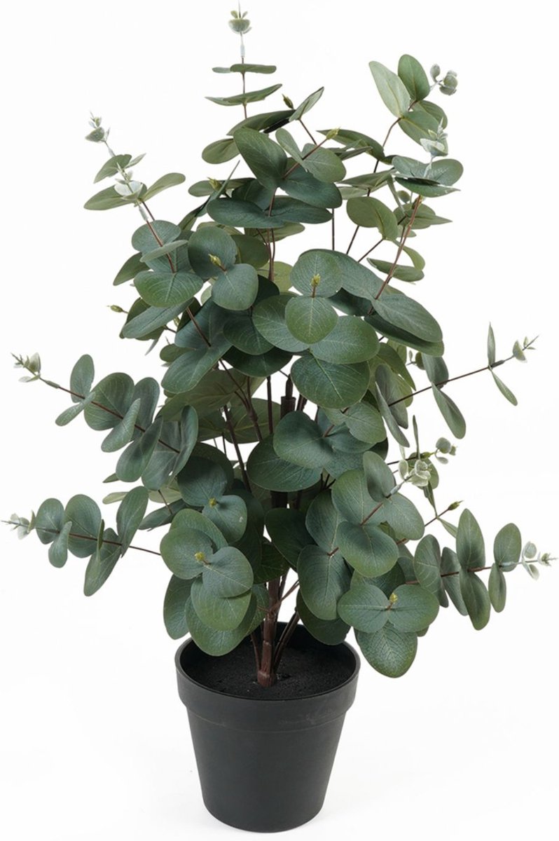 Present Time Kunstplant Eucalyptus Leaf - Groen - 25x25x54cm - Modern