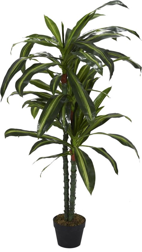 NATURN LIVING Kunstplant Cane Plant - ø 50 x 140 cm - Dracaena Fragrans - Onderhoudsvrije Planten Voor Binnen - Nepplanten - Kantoordecoratie - Kunstboom - Groen