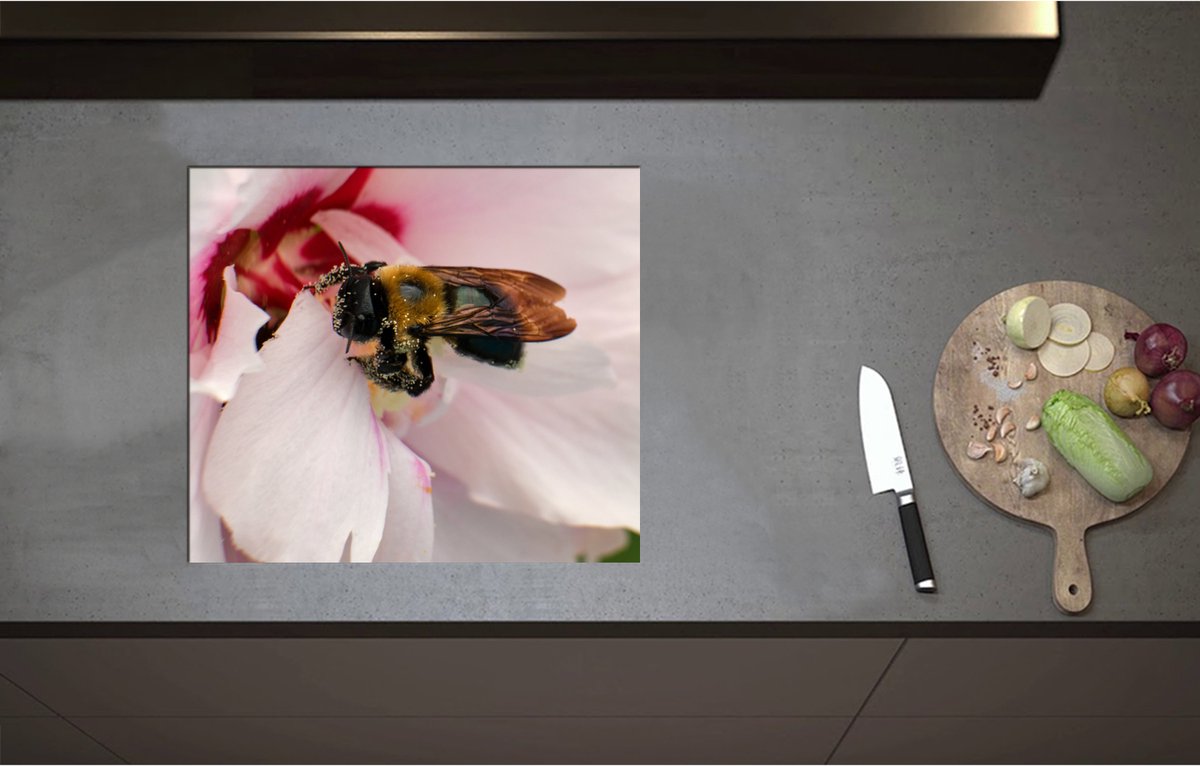 Inductieplaat Beschermer - Bij in het Midden van Witte Bloem op Zoek naar Nectar - 57x50 cm - 2 mm Dik - Inductie Beschermer - Bescherming Inductiekookplaat - Kookplaat Beschermer van Zwart Vinyl