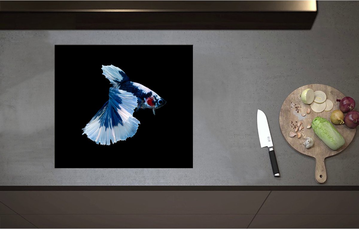 Inductieplaat Beschermer - Blauw Gevlekte Siamese Kempvis tegen Zwarte Achtergrond - 58x52 cm - 2 mm Dik - Inductie Beschermer - Bescherming Inductiekookplaat - Kookplaat Beschermer van Wit Vinyl