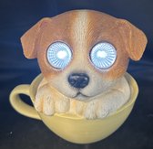 Polyresin solarlamp "hond in mok" - meerkleurig - met 2 LEDs - Staand model - hoogte 12 x 15 x 6 cm - Tuindecoratie - Tuinverlichting