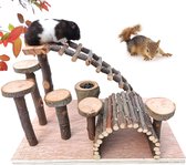 Hamster Activiteit Speeltuin - Speeltuin met Hellingen en Speelgoed - Interactieve Hamster Speelplaats - Duurzaam Ontwerp - Voor Mentale en Fysieke Stimulatie