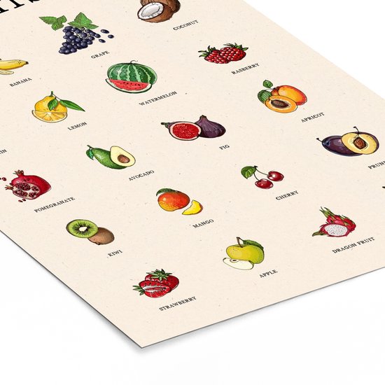 Illustrations détaillées de grenade, avocat, figues, abricots, kiwi, mangue, cerises, prunes, fraises, pommes, fruit du dragon et poire.