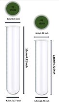 RootHome - 4 stuks Reageerbuizen met rand - test tubes with rim - stek tubes- stekglazen- stekbuizen - stekvazen - stekstation - transparante vazen