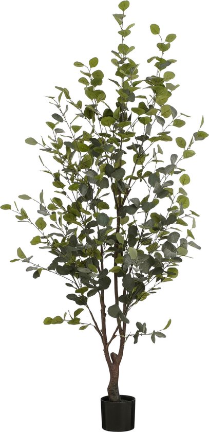 Mica Decorations Kunstplant Eucalyptusboom in Pot - H180 x Ø80 cm - Groen