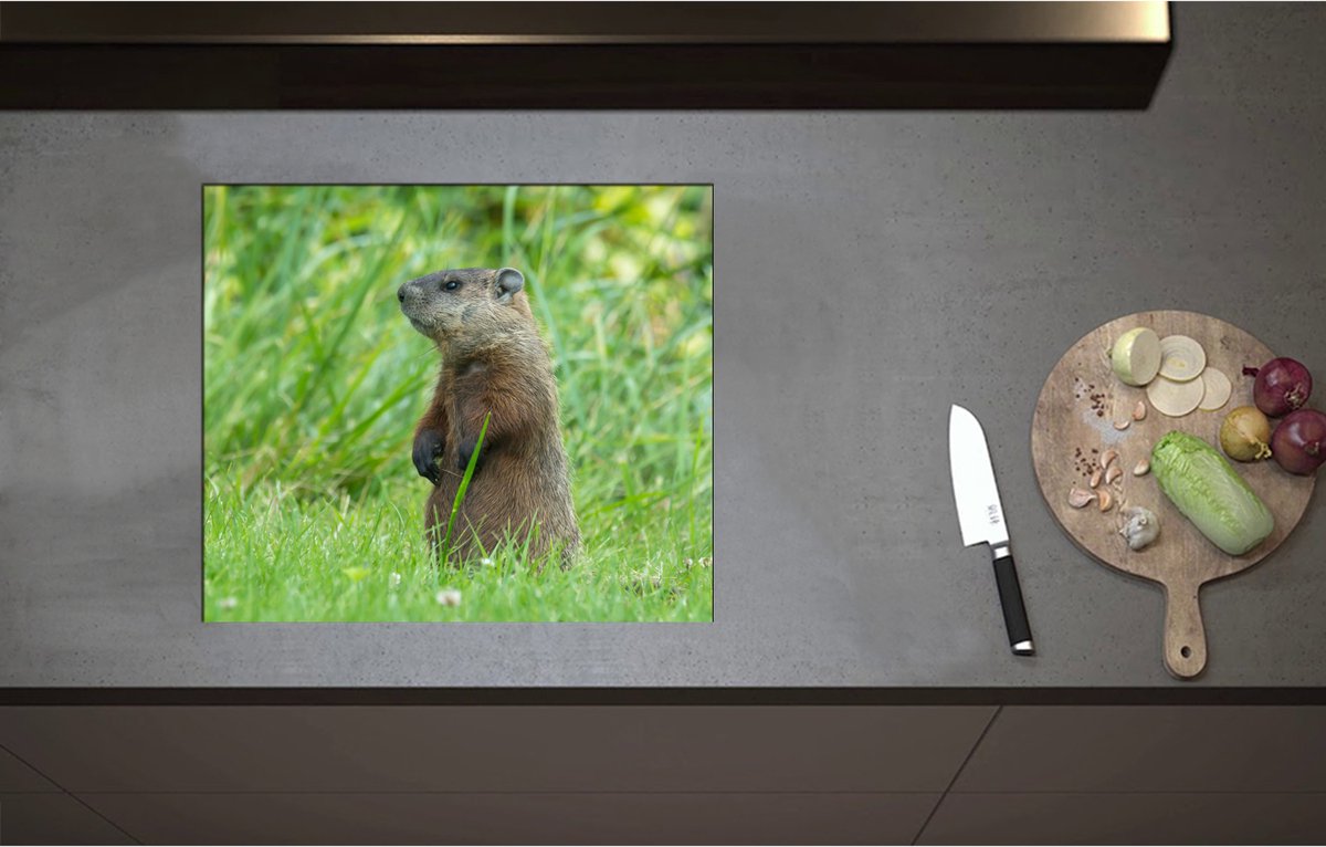 Inductieplaat Beschermer - Bos vol met Watervallen en Groene Bomen - 58x50 cm - 2 mm Dik - Inductie Beschermer - Bescherming Inductiekookplaat - Kookplaat Beschermer van Wit Vinyl