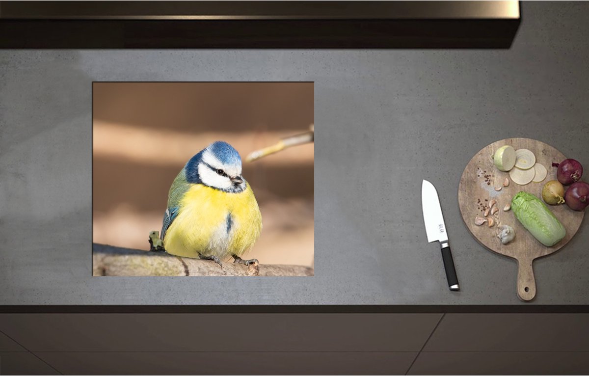 Inductieplaat Beschermer - Bol Pimpelmeesje Zittend op Tak - 57x50 cm - 2 mm Dik - Inductie Beschermer - Bescherming Inductiekookplaat - Kookplaat Beschermer van Zwart Vinyl