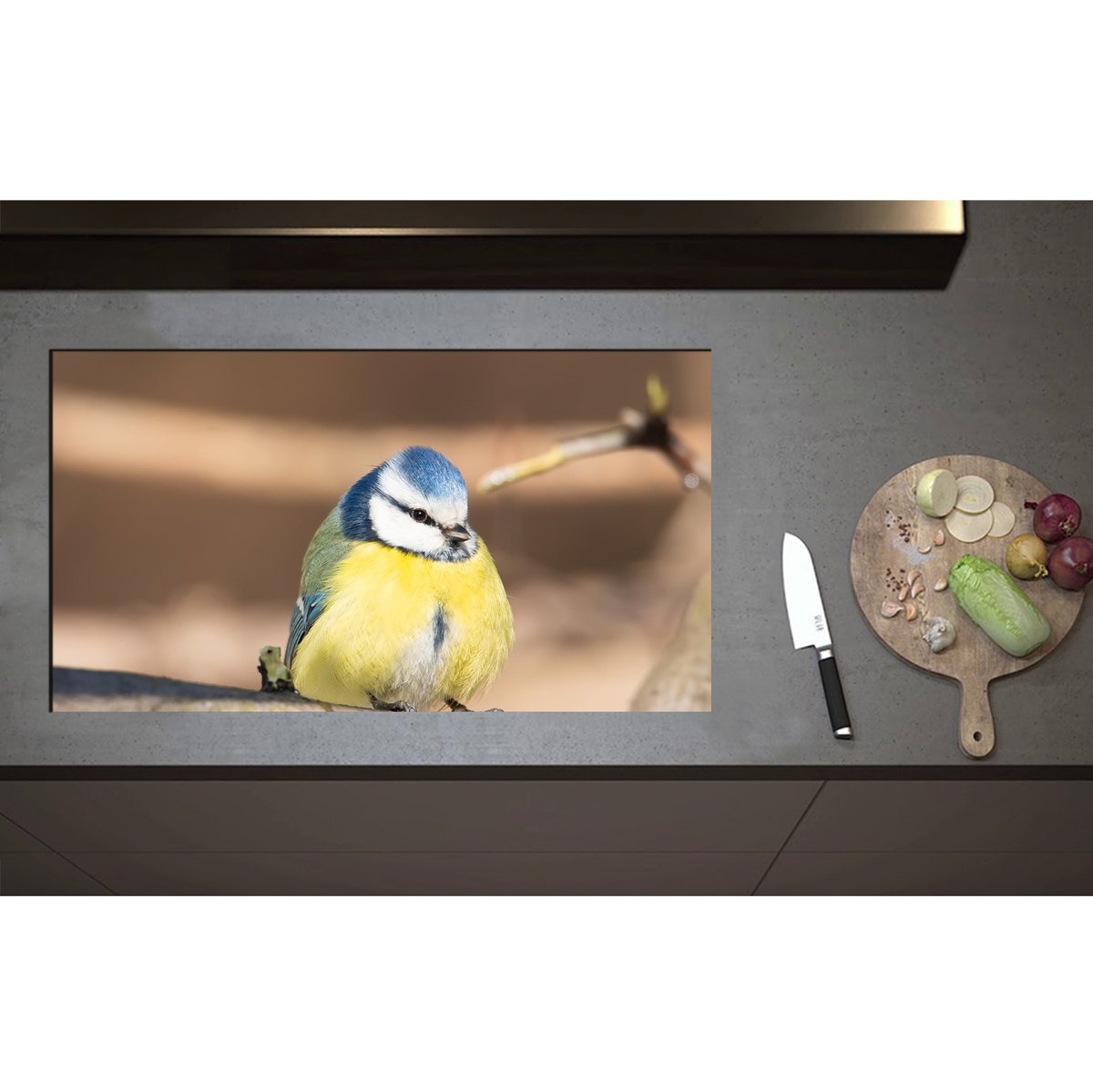Inductieplaat Beschermer - Bol Pimpelmeesje Zittend op Tak - 90x50 cm - 2 mm Dik - Inductie Beschermer - Bescherming Inductiekookplaat - Kookplaat Beschermer van Zwart Vinyl