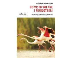 iSaggi - Ho visto volare i fenicotteri
