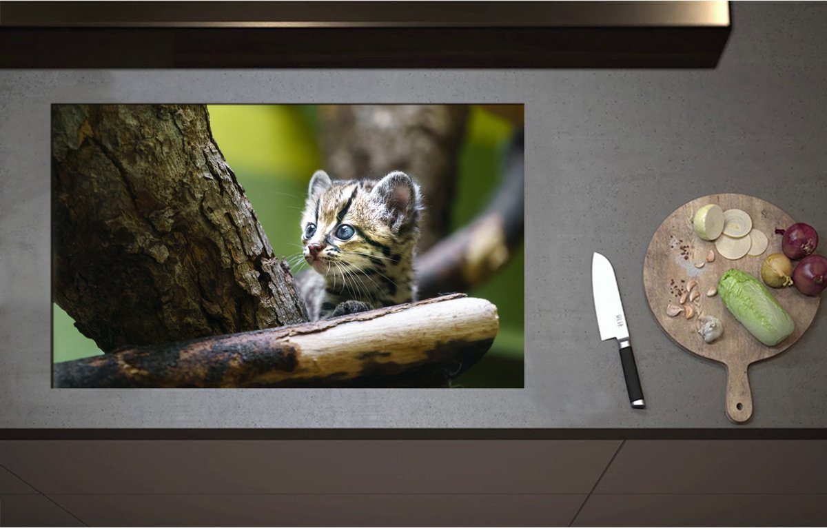 Inductieplaat Beschermer - Boomkat Kitten in de Bomen - 85x52 cm - 2 mm Dik - Inductie Beschermer - Bescherming Inductiekookplaat - Kookplaat Beschermer van Wit Vinyl