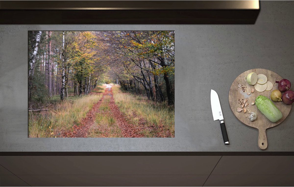 Inductieplaat Beschermer - Bospad in een Bos in Nederland - 75x55 cm - 2 mm Dik - Inductie Beschermer - Bescherming Inductiekookplaat - Kookplaat Beschermer van Zwart Vinyl
