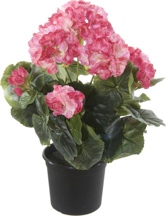 Louis Maes Geranium Kunstbloemen - in pot - roze/creme - H35 cm