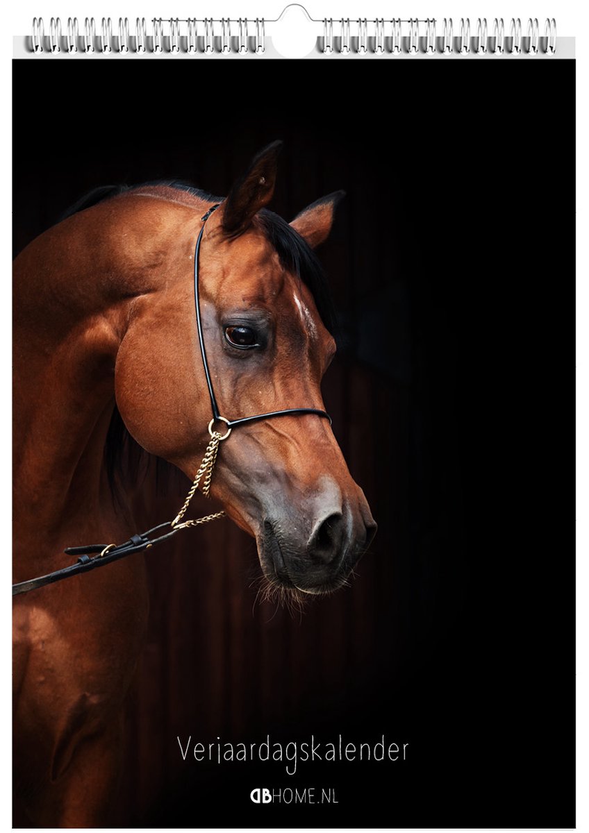 Kalender Paarden