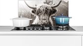 Spatscherm keuken 70x30 cm - Kookplaat achterwand Koe - Schotse Hooglander - Zwart - Wit - Muurbeschermer - Spatwand fornuis - Hoogwaardig aluminium - Alternatief voor glazen spatscherm