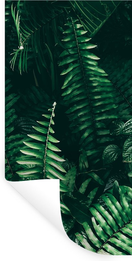 Stickers Muraux Feuilles Tropicales - Autocollants Végétaux Rafraîchissants Pour Salon, Chambre Et TV - 30x90cm, Faciles à Poser Et Amovibles