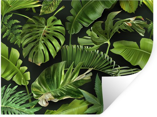 Stickers muraux - Film autocollant - Motif - Tropical - Feuilles - Garçons - Filles - Enfants - Bébé - 80x60 cm - Film adhésif - Stickers muraux Chambre d'enfant - Papier peint autocollant - Papier peint autocollant - Film autocollant