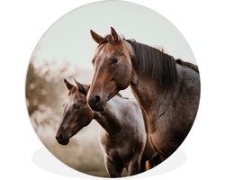 WallCircle - Wandcirkel ⌀ 30 - Paarden - Natuur - Bruin - Ronde schilderijen woonkamer - Wandbord rond - Muurdecoratie cirkel - Kamer decoratie binnen - Wanddecoratie muurcirkel - Woonaccessoires