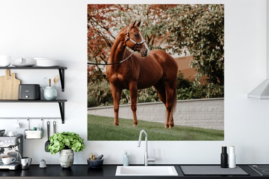 Stickers muraux - Cheval - Arbre - Licol - 120x120 cm - Feuille adhésive XXL