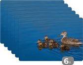 Set de Table - Napperons de Table en Plastique - Canard - Water - Vogel - Marron - 45x30 cm - 6 pièces - Résistant à la Chaleur - Antidérapant - Pad - Amovible