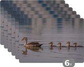 Set de Table - Napperons de Table en Plastique - Canard - Water - Vogel - Marron - 45x30 cm - 6 pièces - Résistant à la Chaleur - Antidérapant - Pad - Amovible