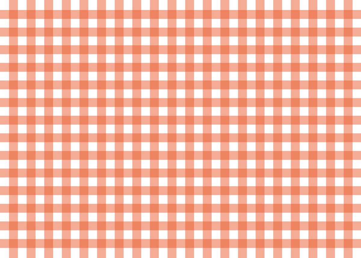 Papieren Placemats Onderleggers Oranje ruit 50 stuks (30x42cm)