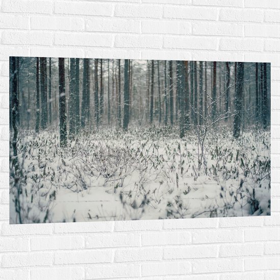 WallClassics - Muursticker - Foto van Besneeuwde Grond - 120x80 cm Foto op Muursticker