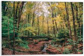 WallClassics - Panneau en mousse PVC - Arbres tombés sur la rivière - Photo 60x40 cm sur panneau en mousse PVC (avec système de suspension)