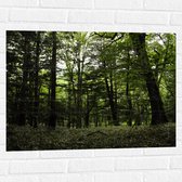 WallClassics - Muursticker - Alleenmaar Groen in het Bos - 80x60 cm Foto op Muursticker
