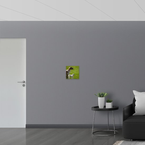 WallClassics - Toile - Père mouton et agneau dans le champ - Photo sur toile 30x30 cm (Décoration murale )