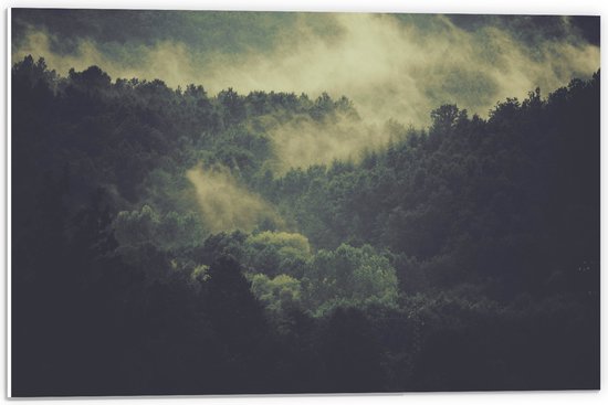 WallClassics - Panneau en mousse PVC - Brouillard sur la cime des arbres - Photo 60x40 cm sur panneau en mousse PVC