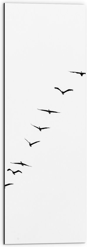 WallClassics - Dibond - Schuine Lijn van Zwarrte Vogels op Witte Achtergrond - 30x90 cm Foto op Aluminium (Met Ophangsysteem)