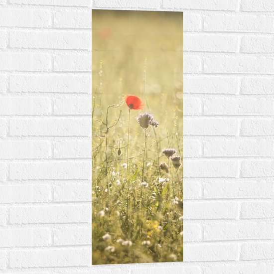 WallClassics - Muursticker - Rood Bloempje tussen Grassen - 30x90 cm Foto op Muursticker