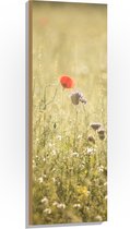 WallClassics - Hout - Rood Bloempje tussen Grassen - 40x120 cm - 12 mm dik - Foto op Hout (Met Ophangsysteem)