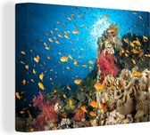 Toile de corail avec poisson 30x20 cm - petit - Tirage photo sur toile (Décoration murale salon / chambre)
