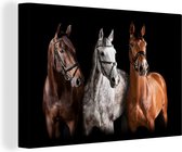 Canvas schilderij 120x80 cm - Wanddecoratie Paarden - Dieren - Zwart - Muurdecoratie woonkamer - Slaapkamer decoratie - Kamer accessoires - Schilderijen